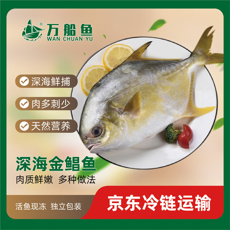 万船鱼北海金鲳鱼新鲜深海鱼急速冷冻锁鲜特大金昌鱼更健康独立包装 【约500克*2条】金鲳鱼净重 无冰衣