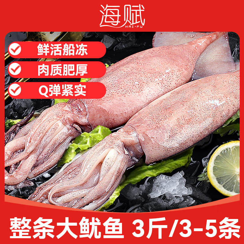 海赋 山东 鲜冻大鱿鱼净重3斤 3-5条 整条鱿鱼 软足类-源头直发