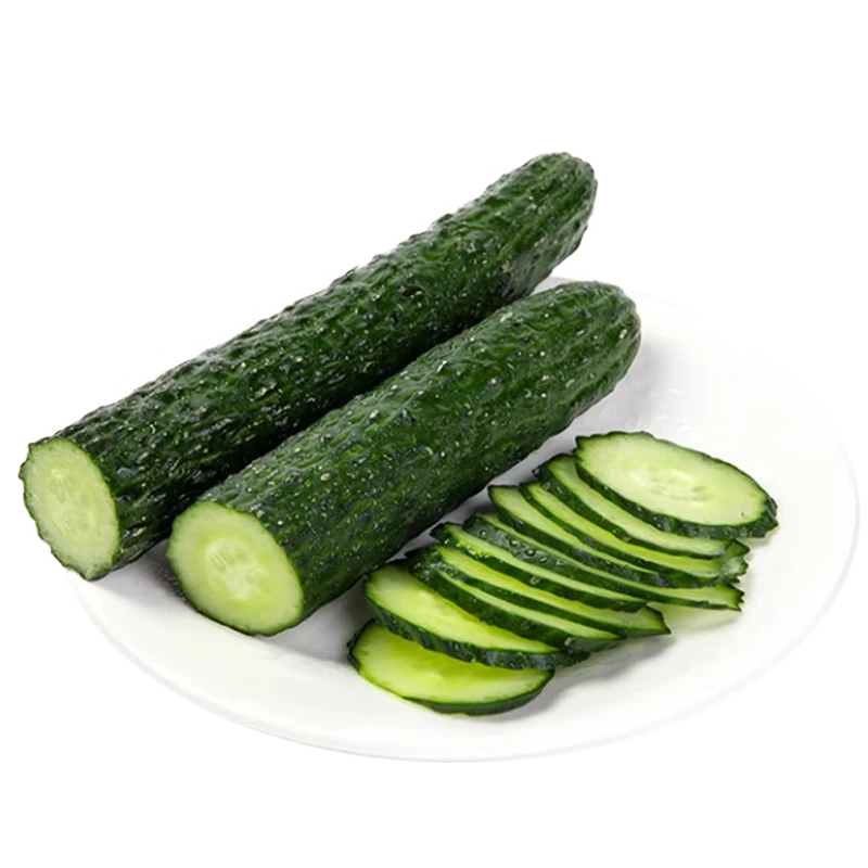 ������ ɽ�����̳��ƹ� ����5�� 28.9Ԫ