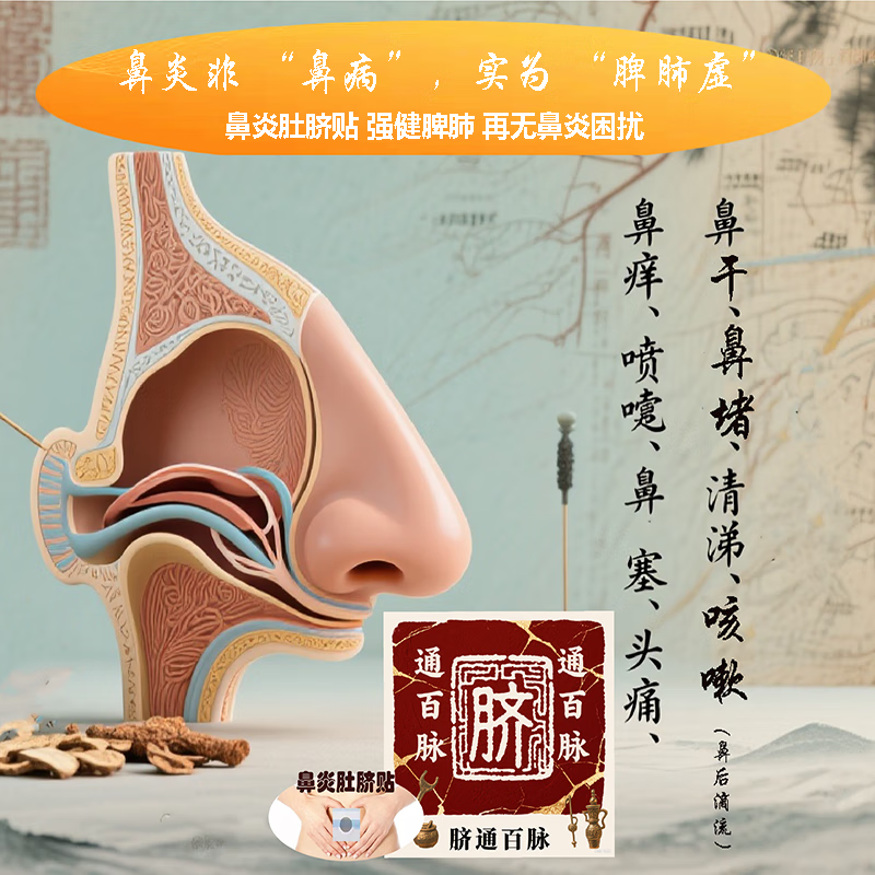 喜乐至 本草堂鼻炎肚脐贴儿童成人过敏性鼻炎鼻窦炎急慢性鼻炎鼻甲肥大鼻塞二盒 二盒一个疗程