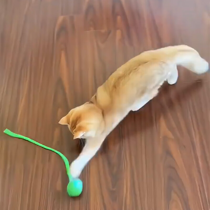 自动逗猫球自嗨解闷智能电动老鼠尾巴逗猫棒消耗体力突突球猫玩具 红色长绳款，动力加强 速度可调节