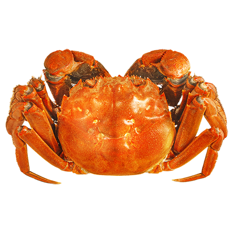 ззү բзȫĸ2.3-2.68ֻװ зʻֻ Դͷֱ