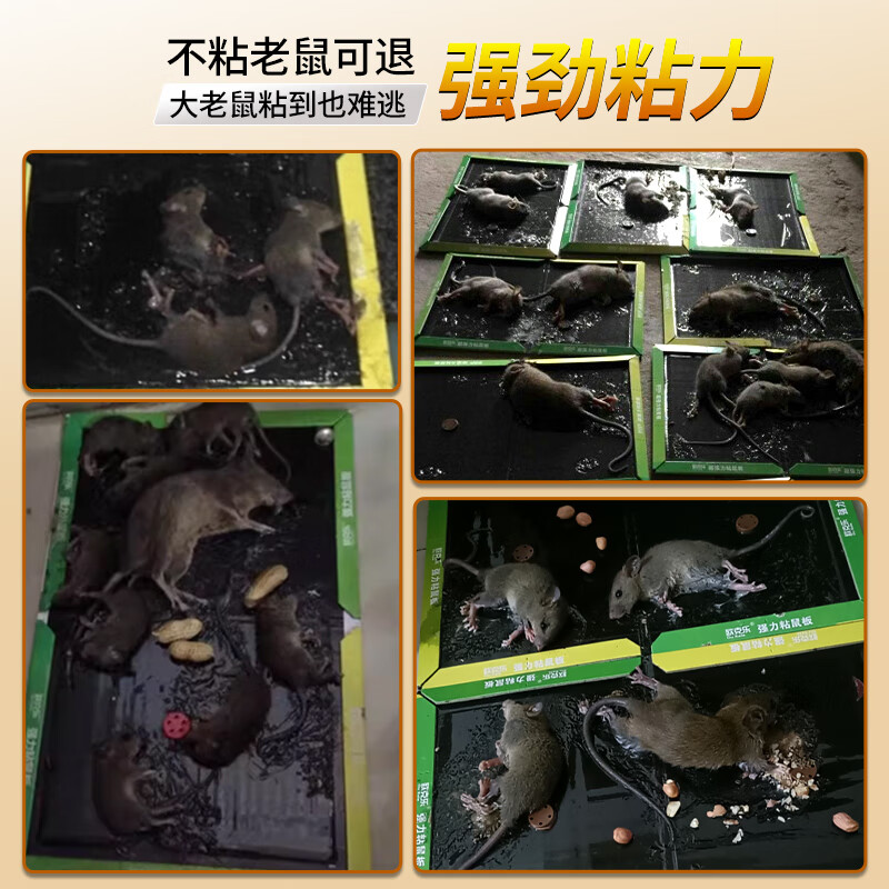 欧克乐(Ou Ke le)超强力粘鼠板老鼠贴灭鼠捕鼠神器沾鼠板灭鼠强加大加重胶多不易逃 50张装 加大加重多胶40.5*26cm