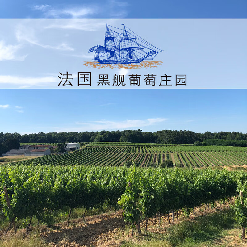 黑舰法国Roux家族原装原瓶进口 干白葡萄酒12度750ml 2支装