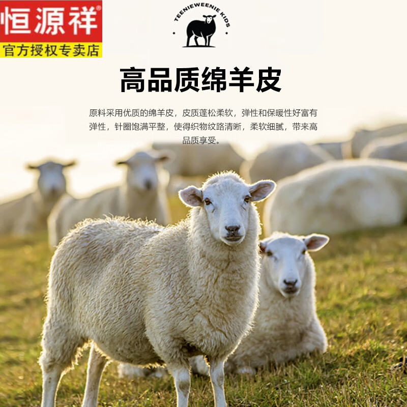 恒源祥海宁真皮2025冬季新款真皮皮衣100%羊毛男翻领皮毛一体夹克外套厚 黑色 3XL 190