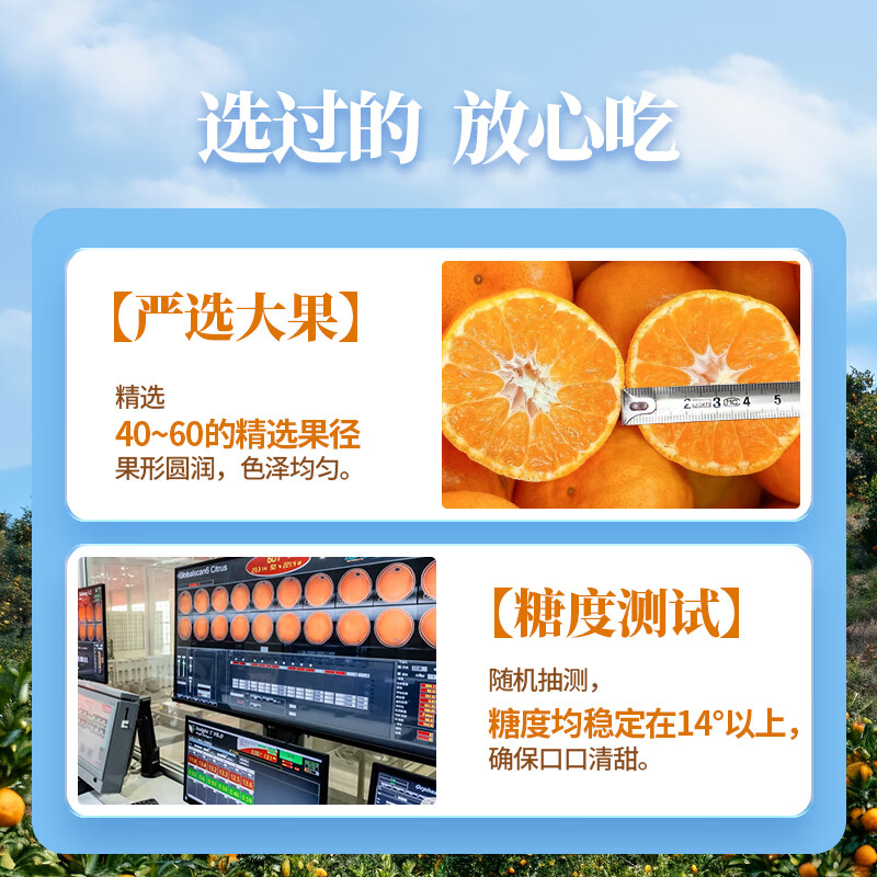 新余蜜桔分享送礼 新鲜蜜橘 橘子桔子水果酸甜多汁 生鲜蜜桔 果园顺丰直发 5斤装(净重4.5斤)【80%选择】 50-60mm大果