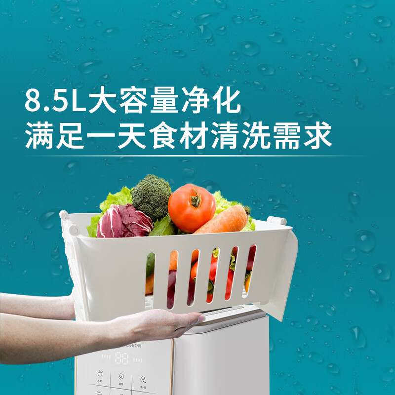 冰尊(BENSHION)果蔬清洗机家用洗菜机除菌99%羟基水离子食材净化机果蔬解毒机净化器M6 机器标配