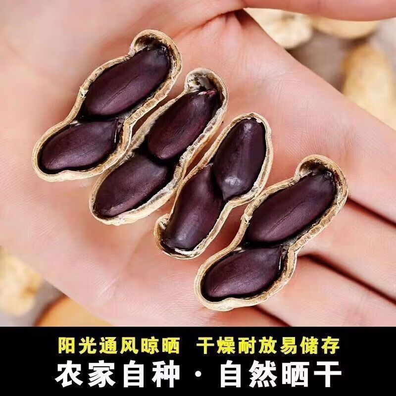 【新货】正宗黑花生带壳生吃云南特产新鲜晒干新货富硒黑花生 精选农家带壳自产黑花生 老品种独粒黑花生 回甘味更好 1斤