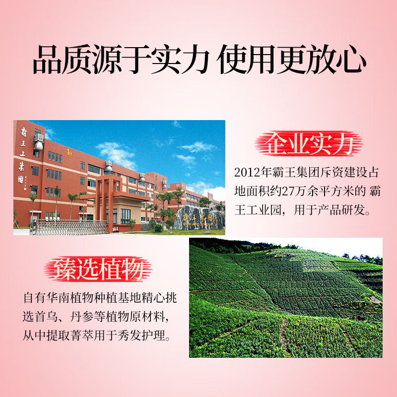 霸王女士防脱洗发水侧柏叶首乌护发套装留香洗发露洗头膏防掉发乳液 女士防脱400ml+女士香氛菁纯润发乳500g