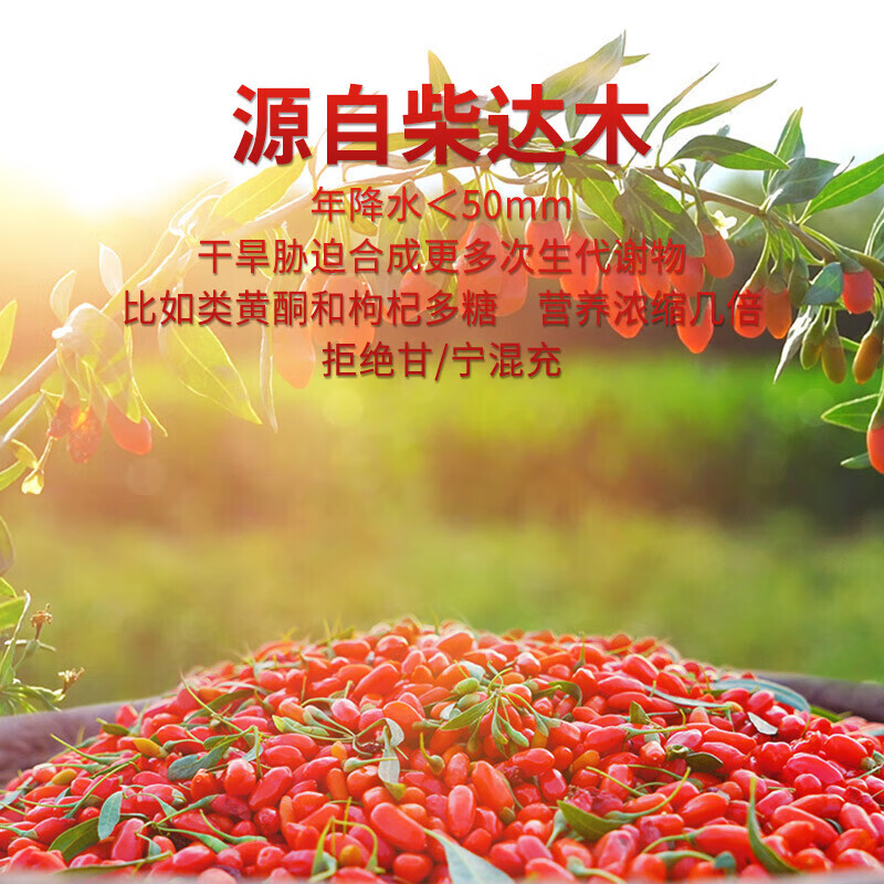 格拉三江青海有机黑枸杞大果泡茶黑果滋补养生煲粥煲汤红枸杞送礼礼袋 青海有机红枸杞200g(10g*20袋独立包装)