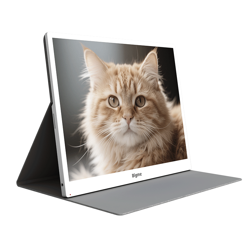 BIGME B13 ��Ʒ 13.3Ӣ�糬���峬��ˢ��ɫīˮ����ʾ��  �����Ķ� 30Hz ���� ǰ��+���� 3632.91Ԫ(������)