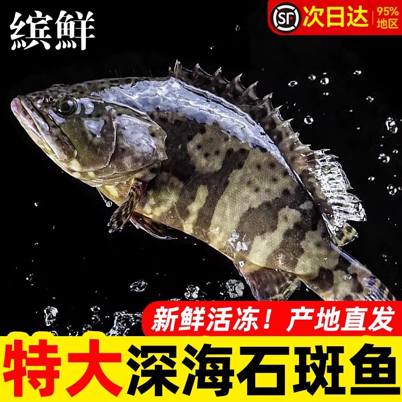 ���ڲ��������� ʯ�����ʻ��䶳Ұ��������� �ϻ�������������ʯ���㺣��ˮ�� ������ʯ���㡿1-1.2��/1�������ʻ)���� 1�� 39.8Ԫ