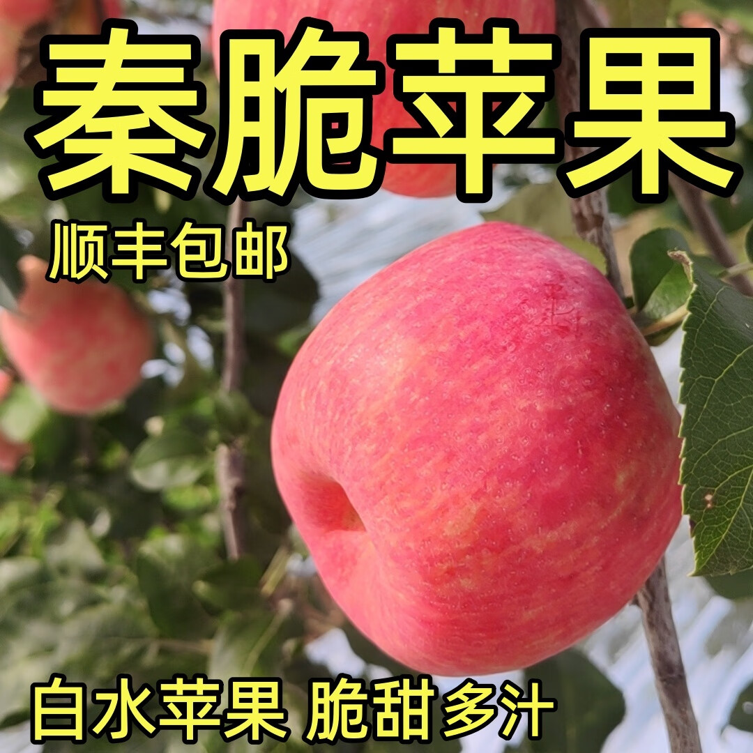 ˧Ѷ˳2025¹شƻֻˮˮ߶д 80mm˳ ѡ6-9ö