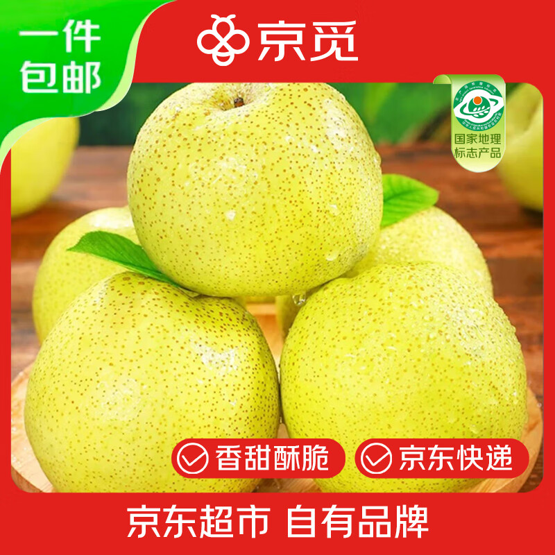 京觅砀山酥梨 净重8.5斤 12-18个 单果250g+ 水果梨子礼盒 源头直发
