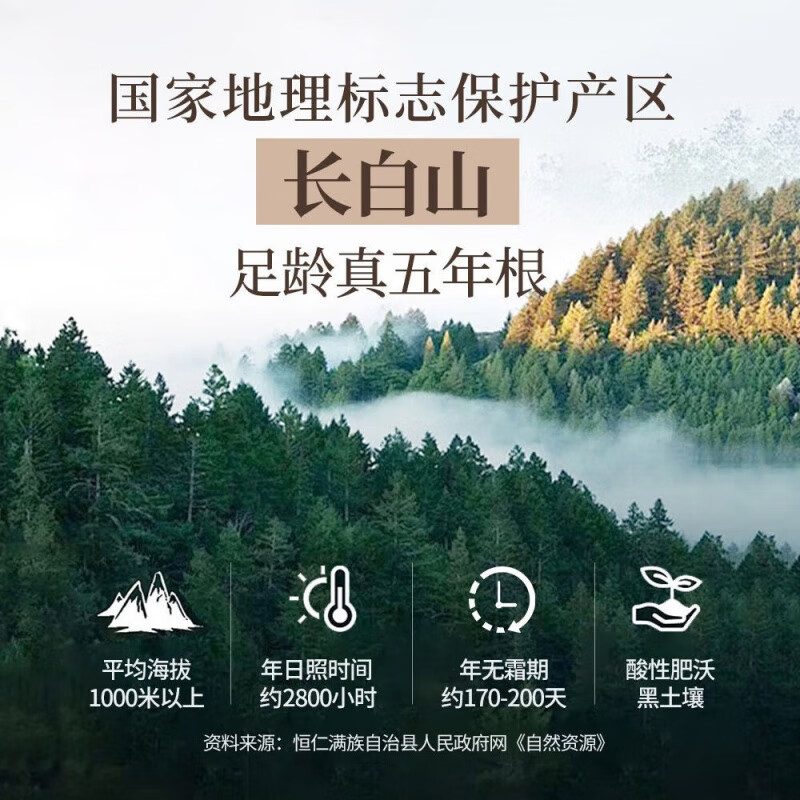 正官庄 恩珍源高丽参【地参】红参5年根长白山人参补气血安神补品礼盒 【地参】小支2- 75g*1盒 32种皂苷类