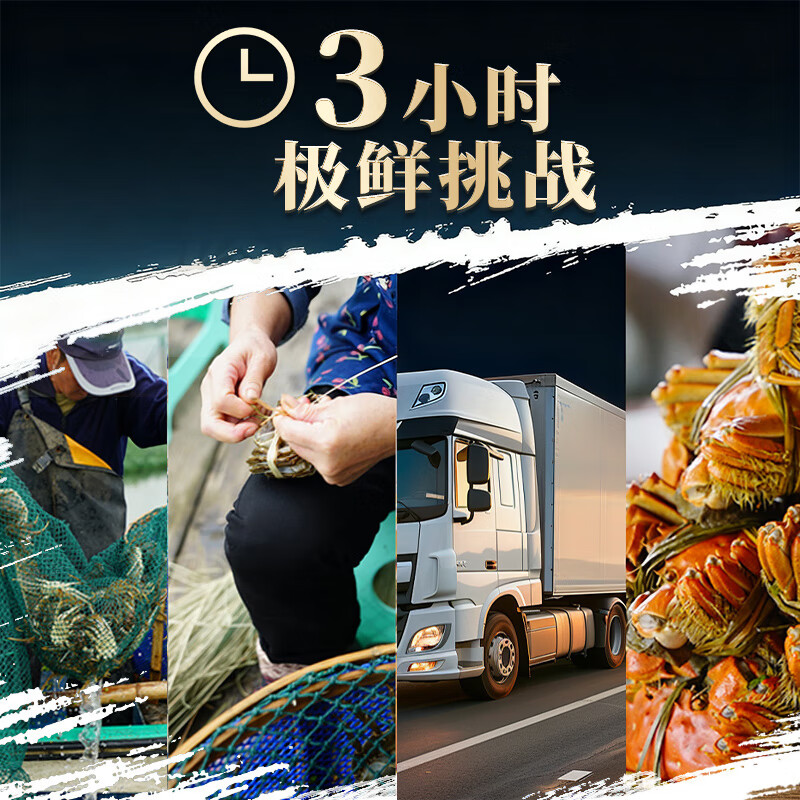 蟹如愿【礼券】阳澄湖大闸蟹鲜活可全母螃蟹礼品卡中秋送礼海鲜水产礼盒 888型 公3.5两母2.5两 4对 8只 礼盒装