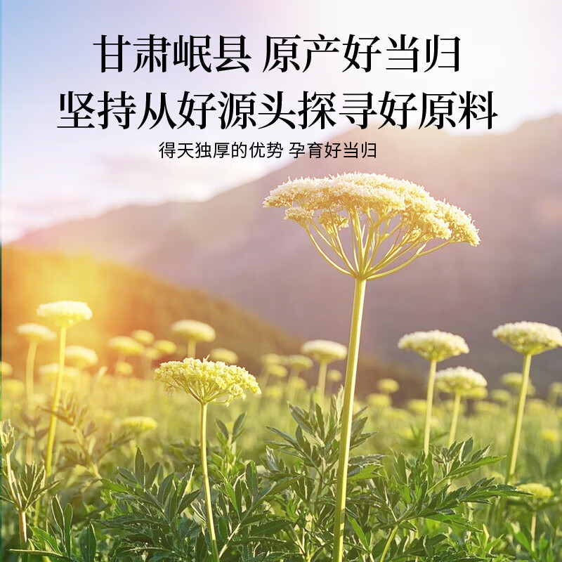 朕皇 同仁堂当归无熏硫甘肃岷县当归头片切片泡水煲汤泡酒滋补养生茶 【1盒体验装】100g/盒
