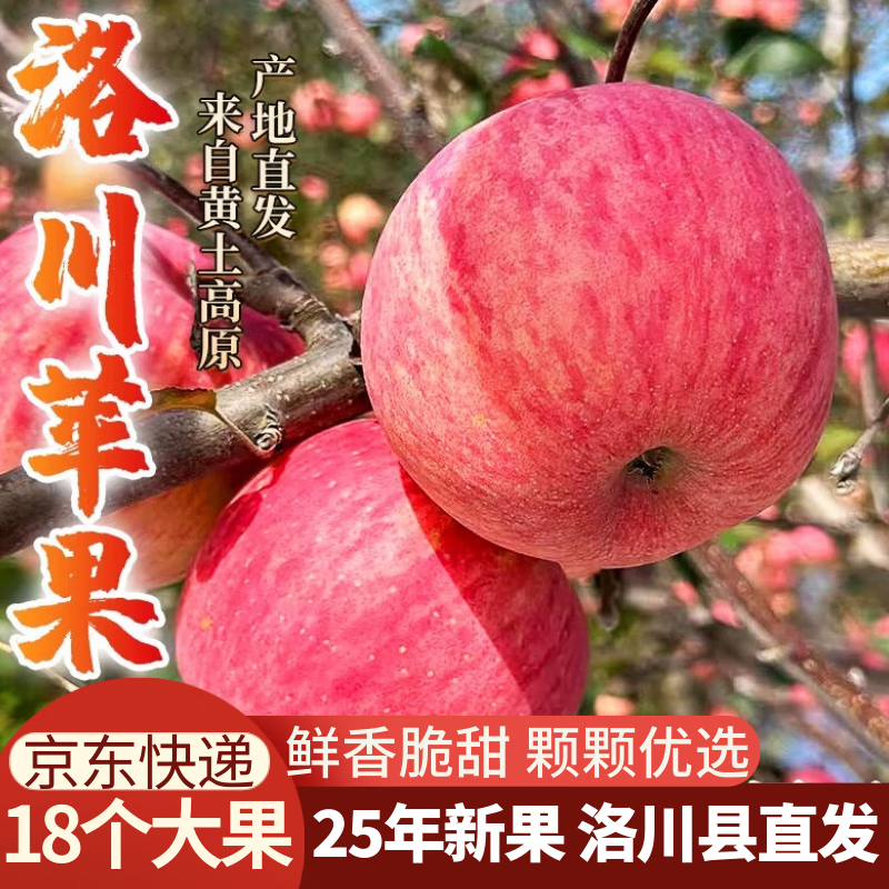洛川苹果陕西延安特产红富士时令苹果水果礼盒送苹果生鲜新鲜脆甜整箱批发 18个80mm大果优选 彩箱装【推荐】
