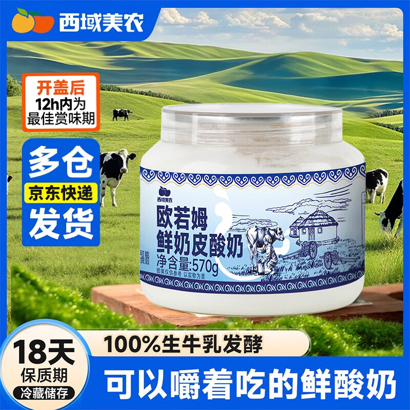 西域美农鲜奶皮子酸奶570g*2内蒙古手工奶皮子老酸奶不添加防腐剂源头直发