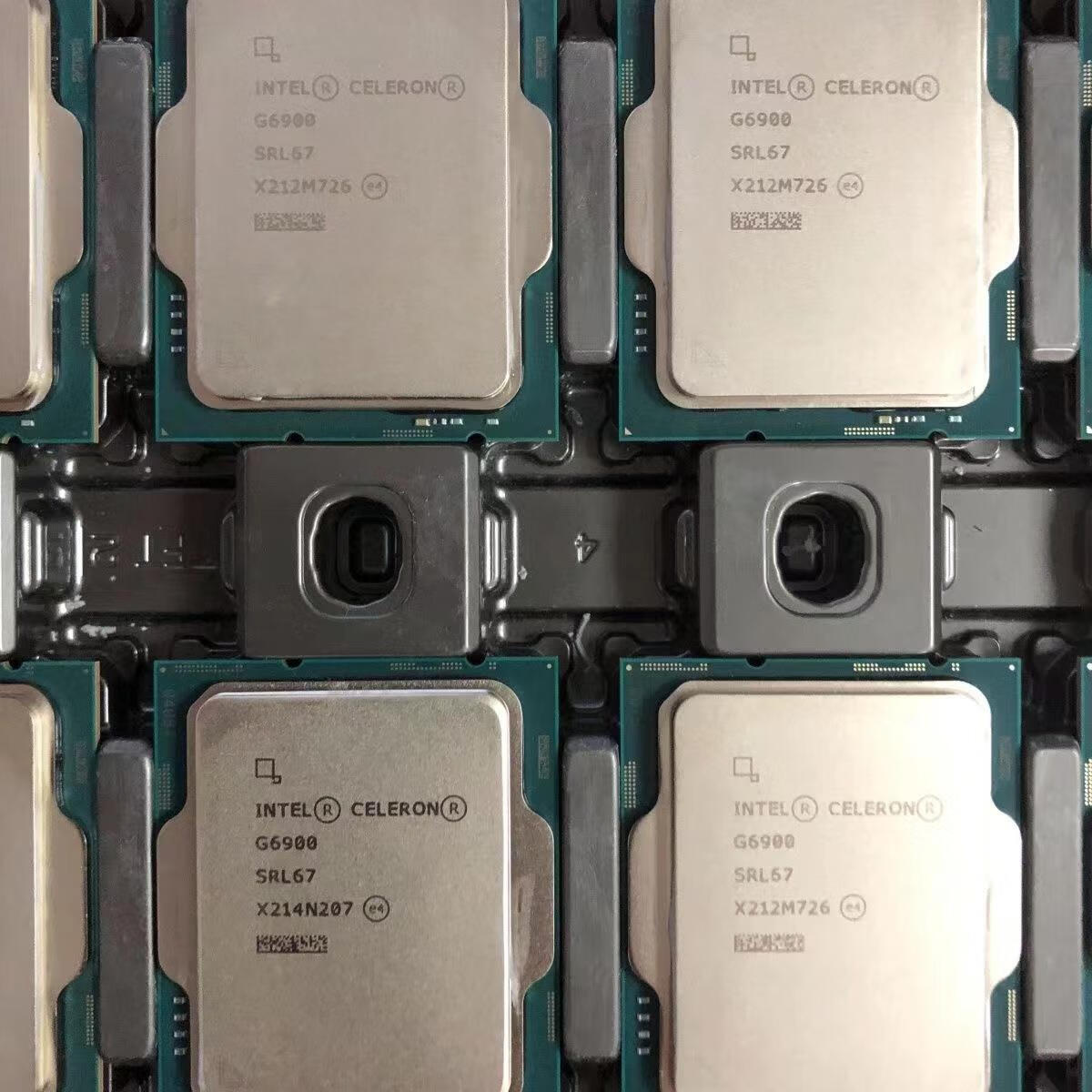 英特尔（Intel）12代赛扬G6900正式版拆机散片 CPU办公家用2核 带核显