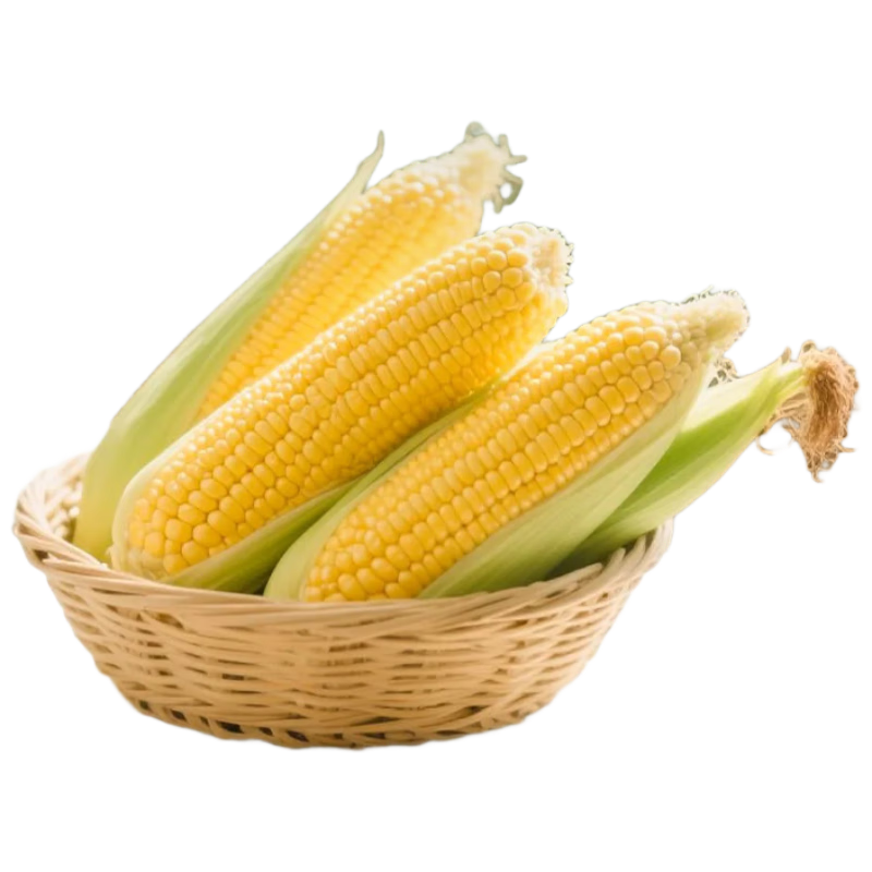 京鲜生&蒙之宝 MON BEAU 内蒙有机甜糯玉米200g+-10g x8棒1.6kg源头直发