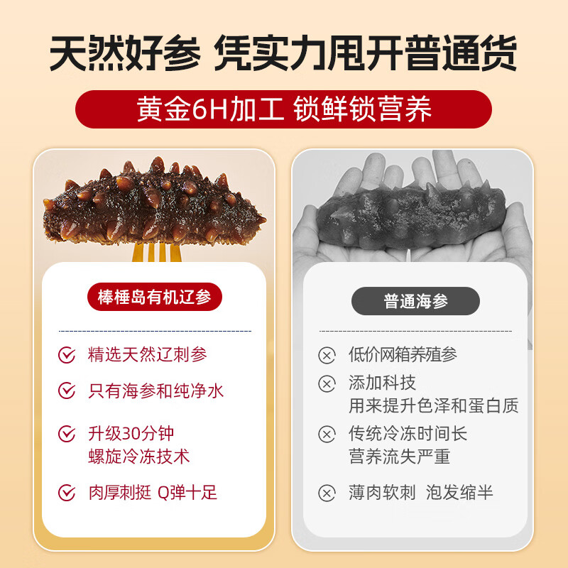 棒棰岛大连有机冷冻海参1500g海鲜水产3斤非即食海参礼盒底播辽刺参孕妇 冷冻海参 1500g 21-27只礼盒装 礼盒装