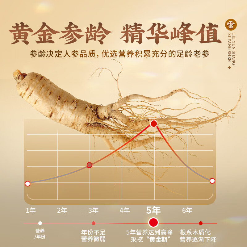 雷允上【官方】加拿大进口特级西洋参片花旗参片送长辈礼盒营养品滋补品 【店铺爆款】 100g*1罐 (2-3cm超大片)