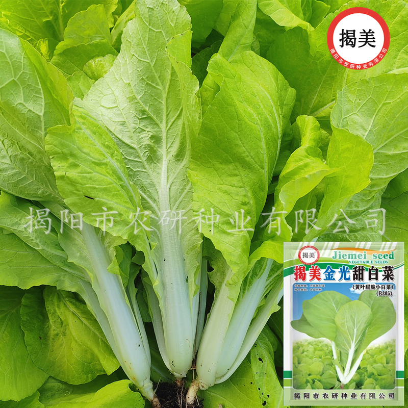 �������ó�С�ײ����� �߲����������ļ������߲�����԰�ջ�����ֲ ���������ײ����ӣ�ԭװ25��