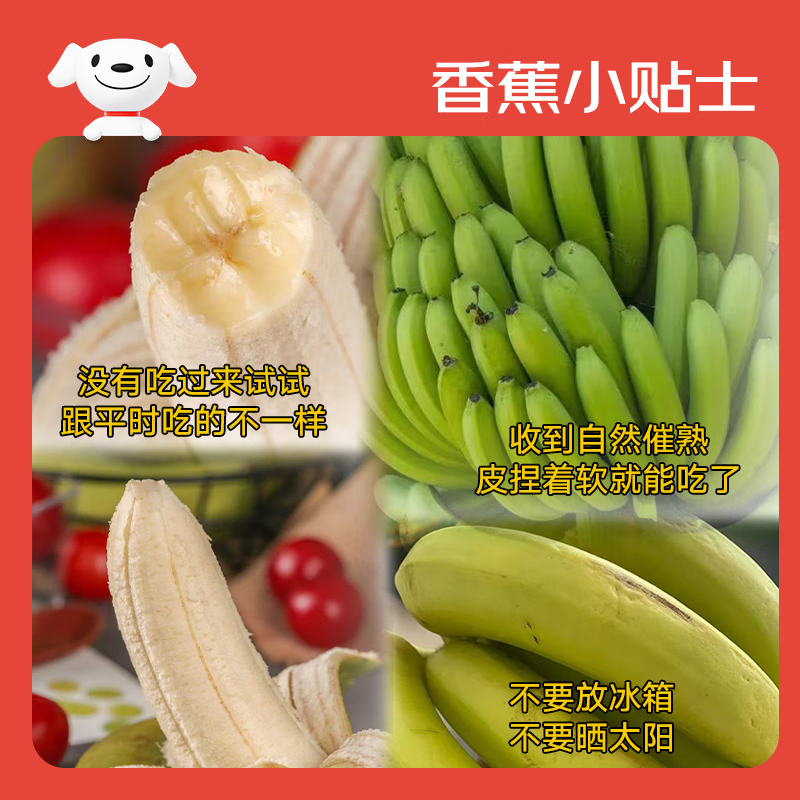 京鲜生广西高山绿皮甜香蕉净重9斤 单根套网100g+ 变软即食源头直发包邮
