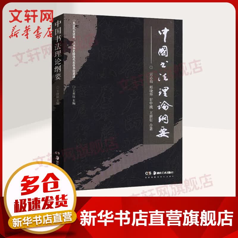 中国书法理论纲要 王世徴 郑晓华 甘中流 云志功 湖南美术出版社