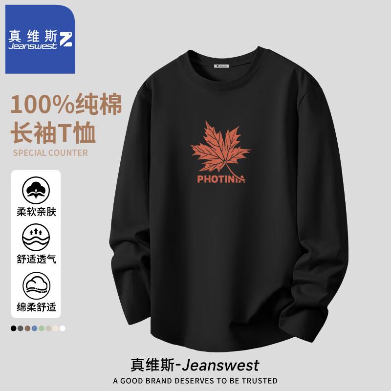 ���ڲ�������ά˹����T���������Ҷ�����ڴ����ʿ����� �ڣ���Ҷ�ȣ� M 39.9Ԫ