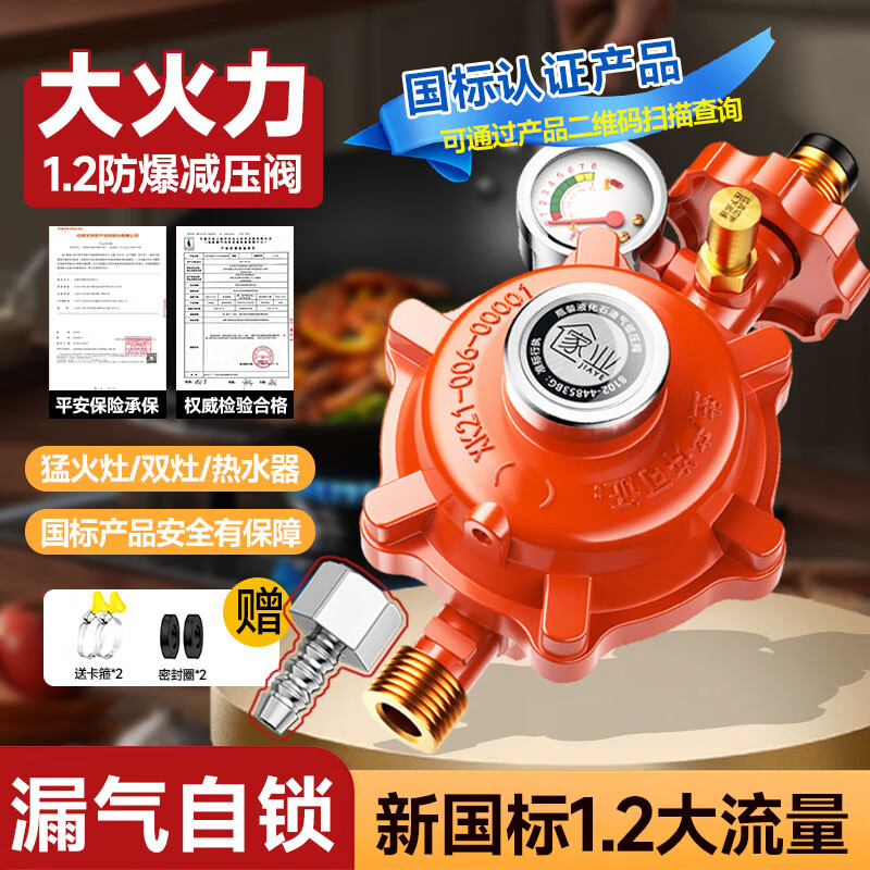 家业 液化气罐煤气减压阀新国标1.2安全阀自动关闭燃气灶阀门大火防爆 【插口】大流量1.2带表丨大火力 以换代修-值得信赖 京东折扣/优惠券