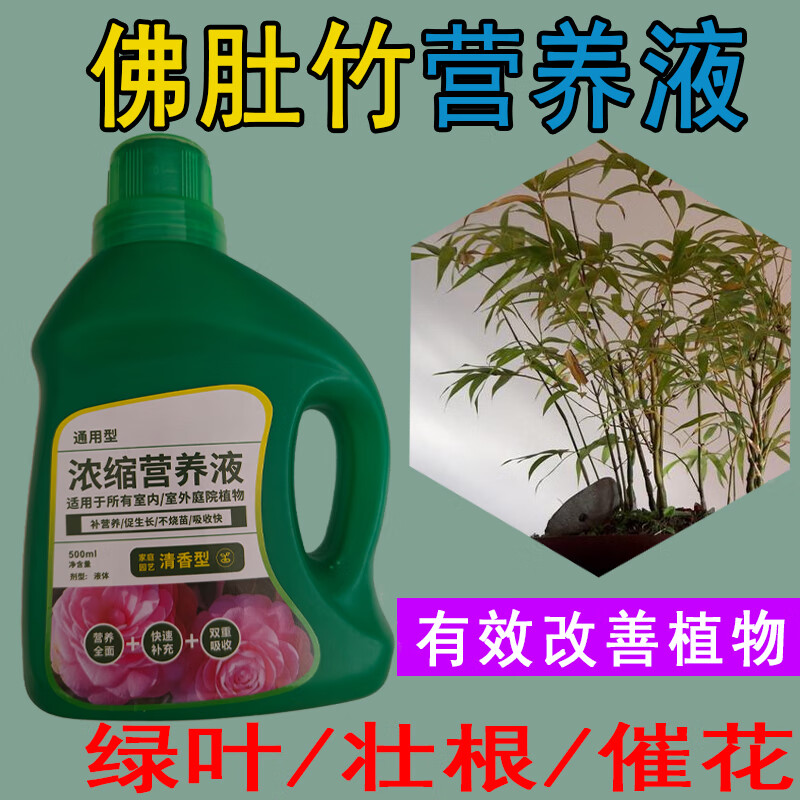 佛肚竹营养液通用型佛肚竹专用营养液花肥绿植水培植物肥料治黄叶 浓缩型营养液*4瓶*500ml