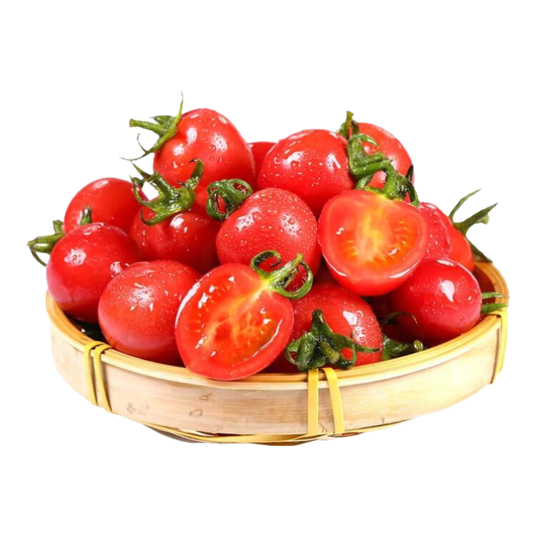 ����ʥŮ��С����  ����2�����1.8� 2.8Ԫ