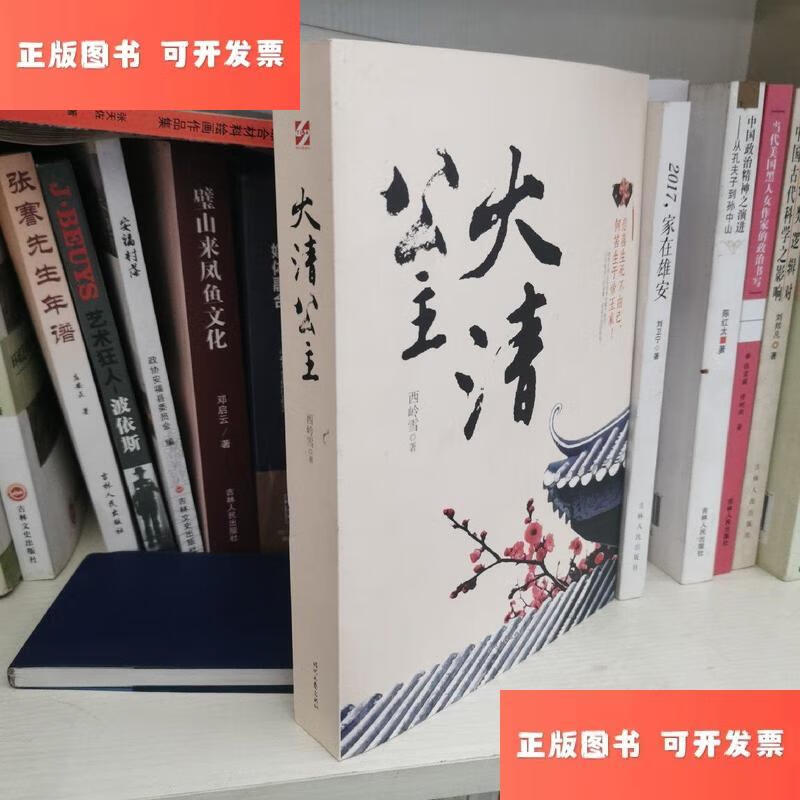 大清公主 /西岭雪 时代文艺出版社