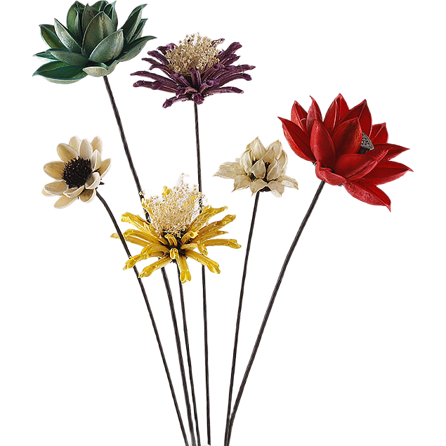 Ȼɻ廨ɹ滨insװΰڼҾӰС¸֦ ƿײ06 ƿ 27.8Ԫ