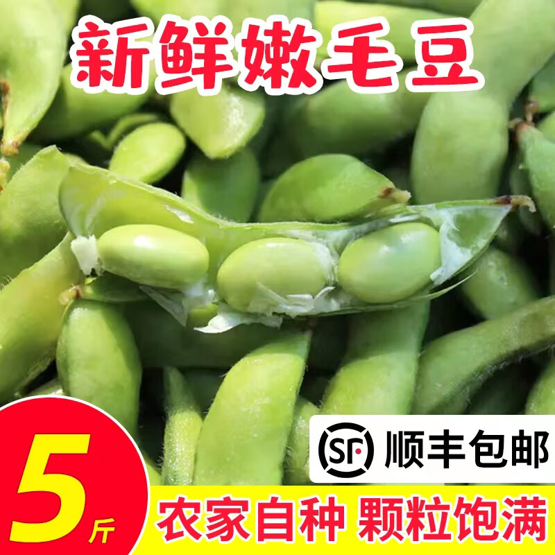 江苏本地农家新鲜带壳毛豆夹大青豆嫩毛豆角商用绿豆时令蔬菜现摘 1斤