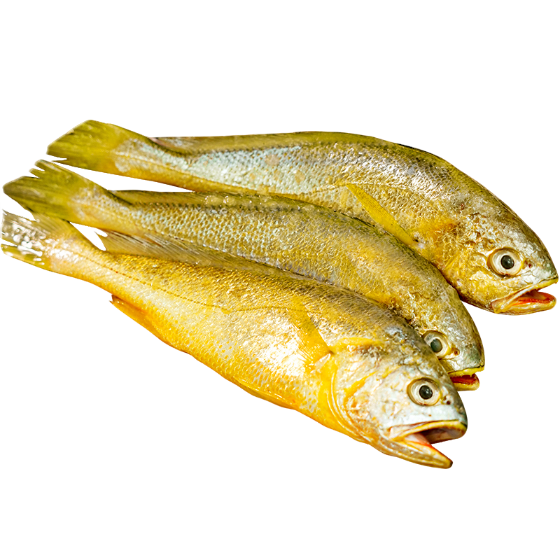 ���ڲ�����ɭũ��С�������ʻƻ�����ɽҰ���ʻ��䶳��������������տ��������� 7-8��/�3�ﾻ�� ζ�����ۡ� 93.41Ԫ