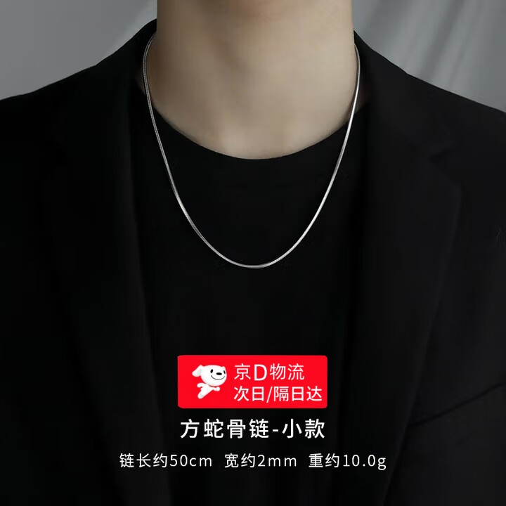 戴岩钛钢方蛇骨链项链男潮轻奢小众高级感链子男士高级链配饰女锁骨链 蛇骨项链【50cm*2mm】 京东折扣/优惠券