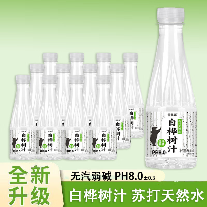 雪飘洋白桦树汁苏打水植物饮料整箱团购批发 365ml*12瓶
