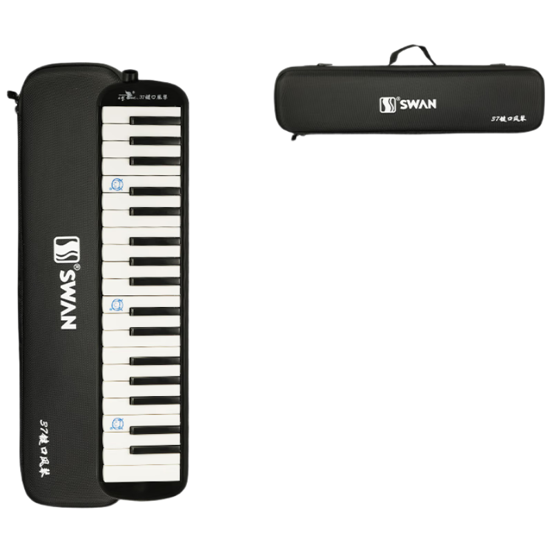 ڷ37רҵ༶Сѧרöͯ˳ڷEVA