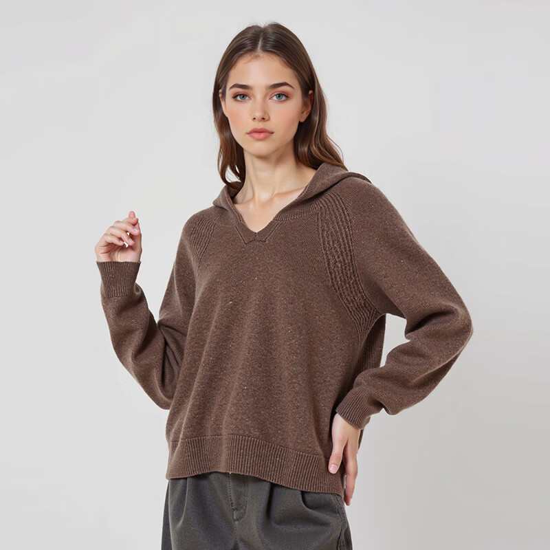 阿仕顿（ARTSDON）2025年秋季女士新款时尚宽松绵羊毛连帽针织衫潮 五彩咖 M 推荐80-95斤