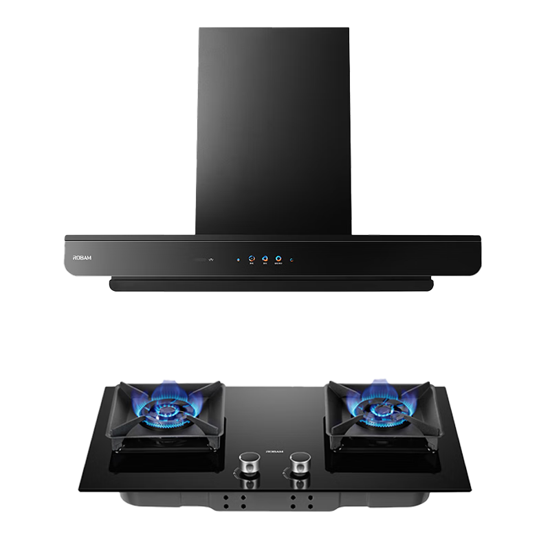 ϰ壨Robam˫E2ʡ271320Paѹ̻D2/E2P̻߳һЧ ˫߶ʱװE2+E2Pȼ Ȼ 4506.04Ԫ()