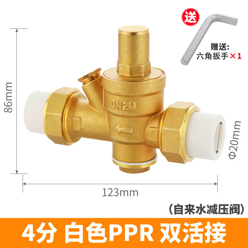 家奕凱用穩(wěn)壓閥凈水器電熱水器自來水管恒壓減壓閥全銅4分p PPR20白色雙活接_不帶表