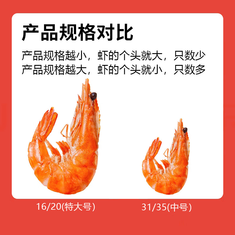 钦小鲜熟冻南美白对虾超大虾 3斤超大装 白虾甜虾海虾冻虾海鲜水产礼盒 南美白对虾 1000g(净重) 【70-90只】