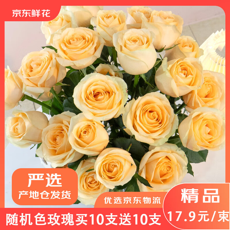 京东鲜花产地仓严选云南基地鲜花直发无土随机玫瑰买10枝送10枝生活鲜花