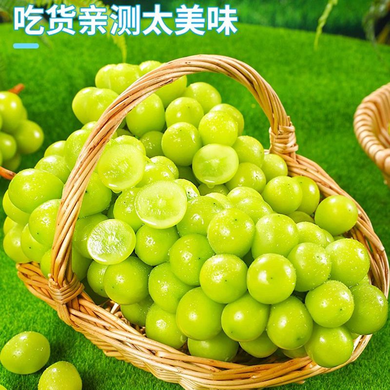 ���������õ������ ˳������  ����������ӡ���� Ӧ��ˮ������ 5�� ���������12-18g��