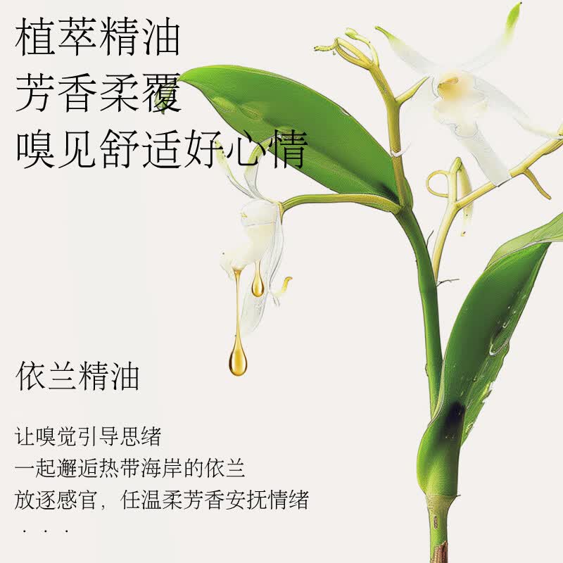 植护香氛洗衣液持久留香10斤大桶装双头家用实惠装整箱去污渍 【馥郁晚香】10斤*1桶