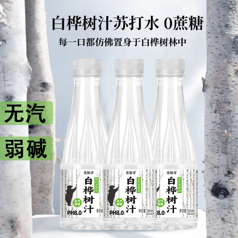 雪飘洋白桦树汁苏打水植物饮料整箱团购批发 365ml*12瓶