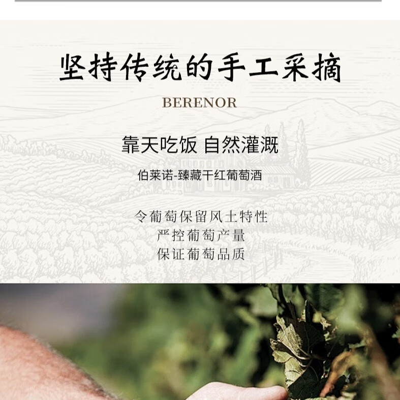萃雨台法国进口干红葡萄酒【伯莱诺·臻藏】鲁西荣法定产区AOP干红葡萄酒 法国进口干红葡萄酒-伯莱诺-臻藏6支